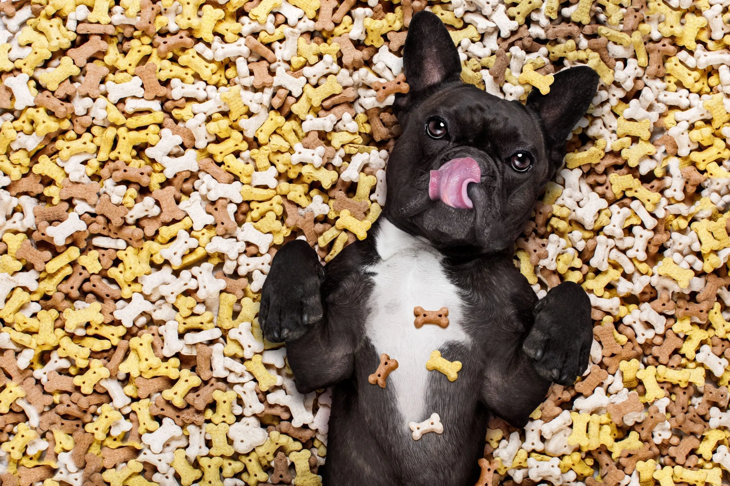 PetFoodExperts-case-study-voice-picking_3