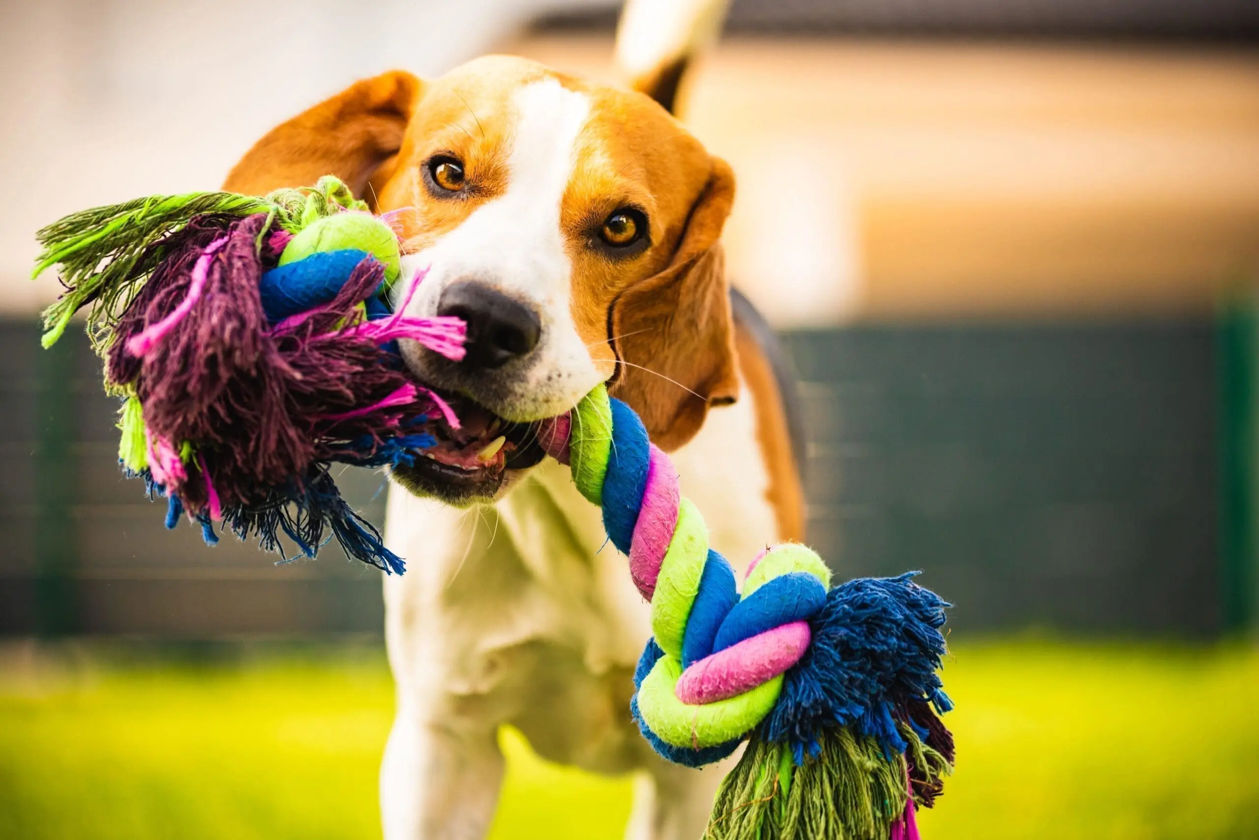 PetFoodExperts-case-study-voice-picking_5